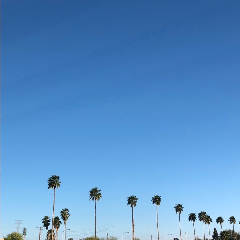 Meet your Posher, Melanie